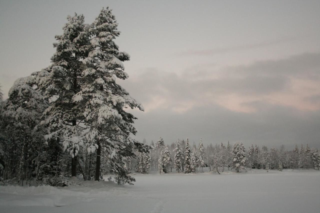 Шале Wilderness Chalet Kuusamo Kiviperä-23