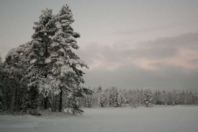 Шале Wilderness Chalet Kuusamo Kiviperä-22